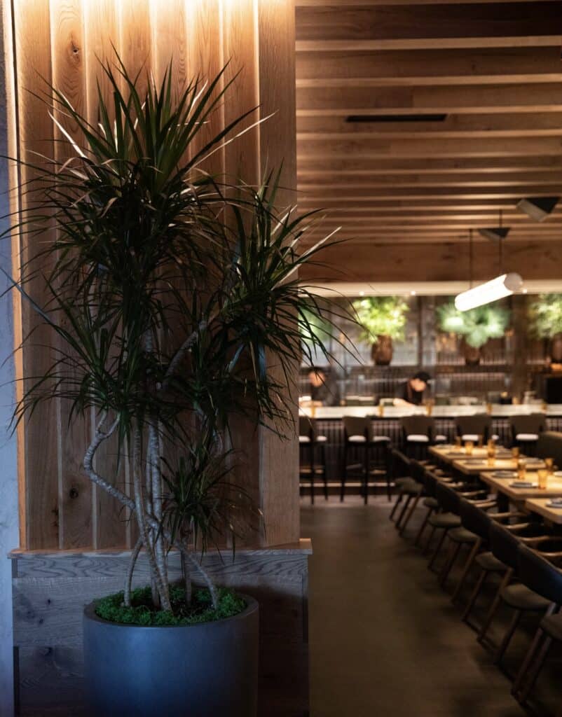 SUSHI SAN 12 Remick Architecture showcasing architecture services and projects with this example - svg%3E