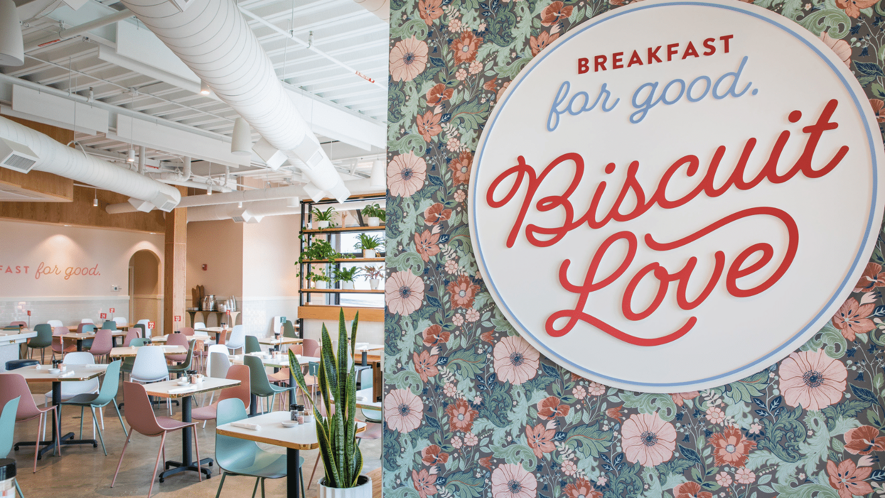 Discovering Brand Identity Through Design 2 Biscuit Love branding